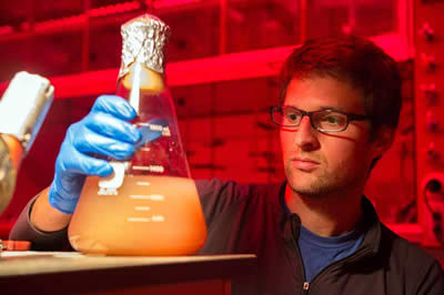 Phil growing bacteria