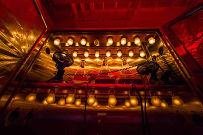 Photosynthetic Growth Chamber