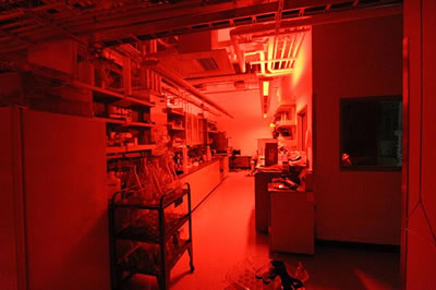 Red bio lab