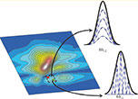 Two-Dimensional Spectroscopy Can Distinguish Between Decoherence and Dephasing of Zero-Quantum Coherences
