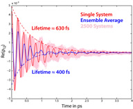 Inhomogeneous Dephasing Masks Coherence Lifetimes In Ensemble Measurements