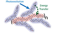 Ultrafast energy transfer from rigid, branched side-chains into a conjugated, alternating copolymer