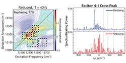 Redox conditions correlated with vibronic coupling modulate quantum beats in photosynthetic pigment-protein complexes