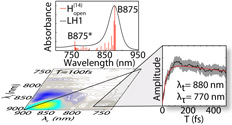 Electronic Structure And Dynamics Of Higher-Lying Excited States In Light Harvesting Complex 1 From Rhodobacter sphaeroides