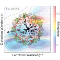 Orientational Dynamics of Transition Dipoles and Exciton Relaxation in LH2 from Ultrafast Two-Dimensional Anisotropy