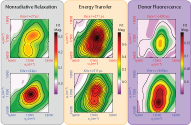 Disentanglement of Excited-State Dynamics with Implications for FRET Measurements: Two-Dimensional Electronic Spectroscopy of a BODIPY-Functionalized Cavitand