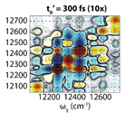 Time-domain Line-shape Analysis from 2D Spectroscopy to Precisely Determine Hamiltonian Parameters for a Photosynthetic Complex