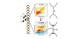 Evidence for the Dominance of Carrier-Induced Band Gap Renormalization over Biexciton Formation in Cryogenic Ultrafast Experiments on MoS2 Monolayers