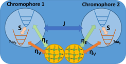 Elucidation of near-resonance vibronic coherence lifetimes by nonadiabatic electronic-vibrational state character mixing