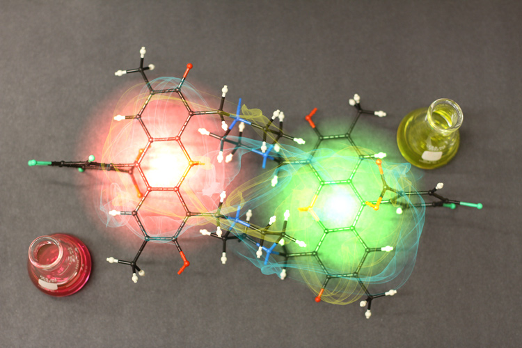 heterodimer molecular structure that demonstrates quantum coherence