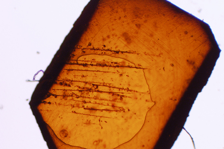 single-crystal single-domain lead iodide perovskite crystal