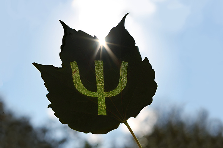 Leaf with Greek Psi shining through